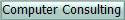 Computer Consulting